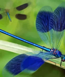 Blue Dragonfly Insect Diamond Painting