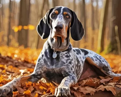 Blue English Coonhound Diamond Painting