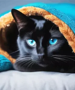 Blue Eyed Black Cat Diamond Painting