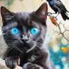 Blue Eyed Black Cat And Bird Diamond Painting