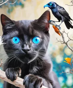 Blue Eyed Black Cat And Bird Diamond Painting