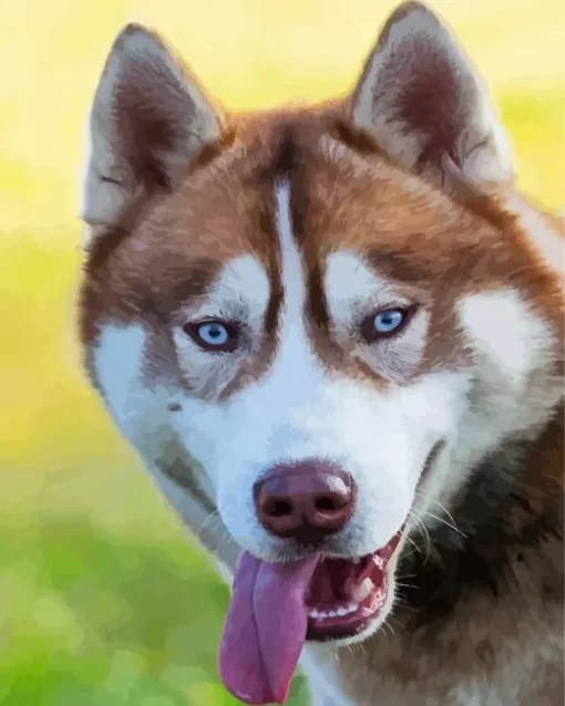 Blue Eyed Brown Husky Dog Diamond Painting