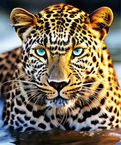 Blue Eyed Leopard In Water Diamond Painting