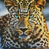 Blue Eyed Leopard In Water Diamond Painting