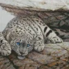 Blue Eyed Snow Leopard Diamond Painting