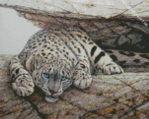 Blue Eyed Snow Leopard Diamond Painting