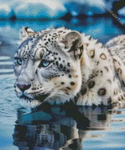 Blue Eyed Snow Leopard In Water Diamond Painting