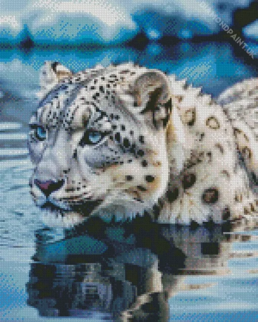 Blue Eyed Snow Leopard In Water Diamond Painting