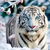 Blue Eyed Tiger Diamond Painting