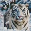 Blue Eyed Tiger Diamond Painting