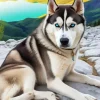 Blue Eyes Husky Dog Diamond Painting