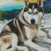 Blue Eyes Husky Dog Diamond Painting