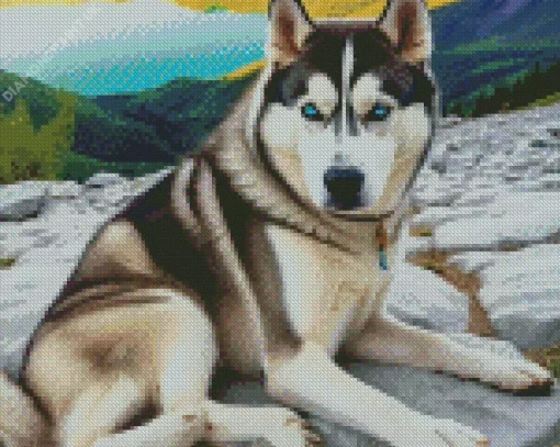 Blue Eyes Husky Dog Diamond Painting