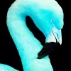 Blue Flamingo Diamond Painting