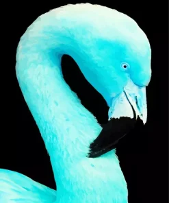 Blue Flamingo Diamond Painting