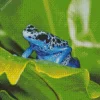 Blue Frog On Leaf Diamond Painting