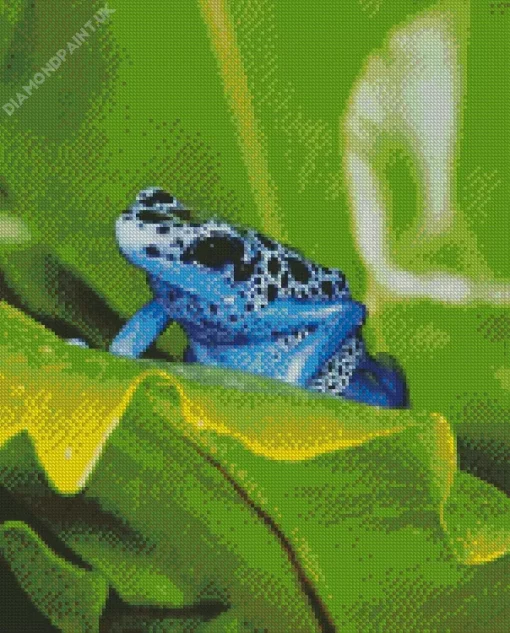 Blue Frog On Leaf Diamond Painting