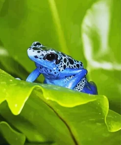 Blue Frog On Leaf Diamond Painting