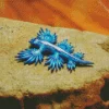 Blue Glaucus Nudibranch Diamond Painting