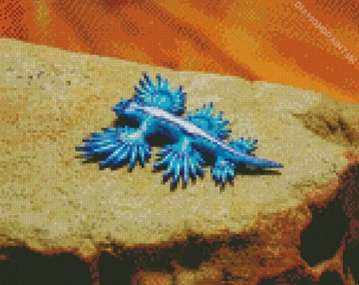 Blue Glaucus Nudibranch Diamond Painting