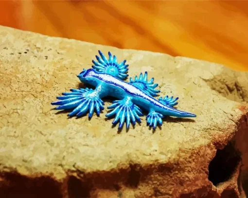 Blue Glaucus Nudibranch Diamond Painting