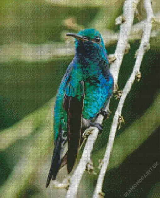 Blue Green Hummingbird Diamond Painting