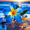 Blue Hawaiian Flower Diamond Painting