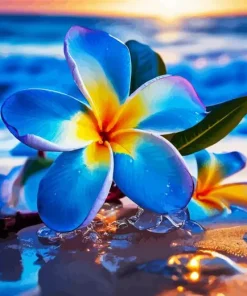 Blue Hawaiian Flower Diamond Painting