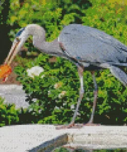 Blue Heron Eating Diamond Painting