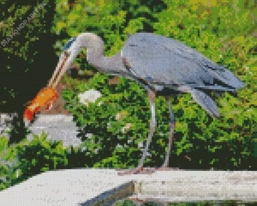 Blue Heron Eating Diamond Painting