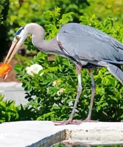 Blue Heron Eating Diamond Painting