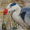 Blue Heron Eating Fish Diamond Painting