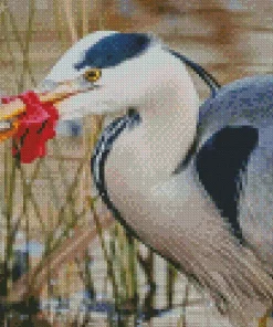 Blue Heron Eating Fish Diamond Painting