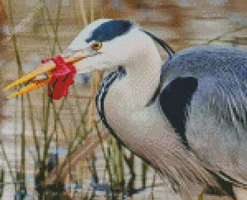 Blue Heron Eating Fish Diamond Painting