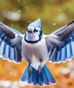 Blue Jay Bird Flying Diamond Painting