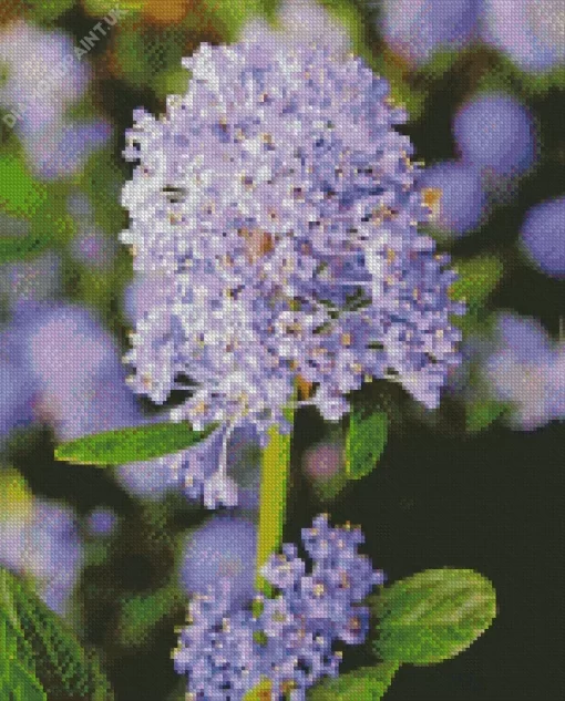 Blueblossom Plant Diamond Painting