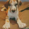 Fawnequin Great Dane Diamond Painting