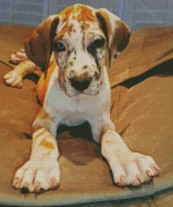 Fawnequin Great Dane Diamond Painting