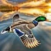 Flying Mallard Duck Diamond Painting