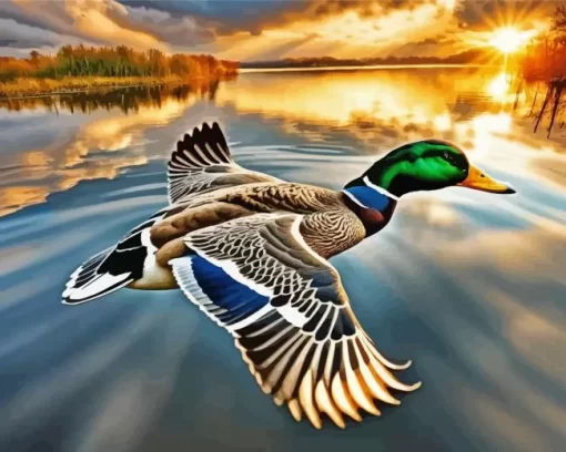 Flying Mallard Duck Diamond Painting