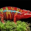 Panther Chameleon Diamond Painting