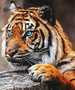 Wild Blue Eyed Tiger Diamond Painting