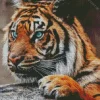 Wild Blue Eyed Tiger Diamond Painting