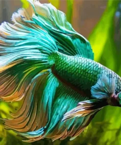 Betta Smaragdina Diamond Painting