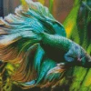 Betta Smaragdina Diamond Painting