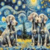 Starry Night Weimaraner Puppies Diamond Painting