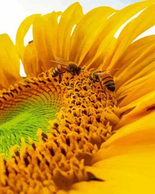 Bee On Sunflower Diamond Painting