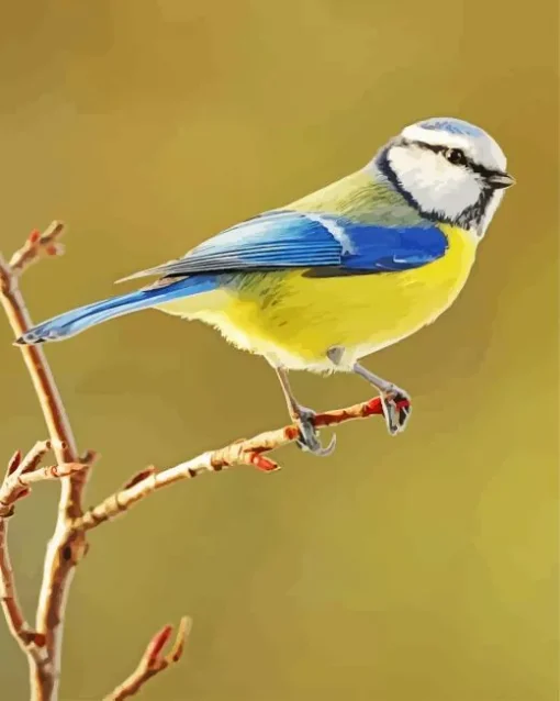 Bird Blue Tit Diamond Painting