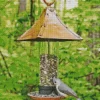 Bird Feeder Diamond Painting