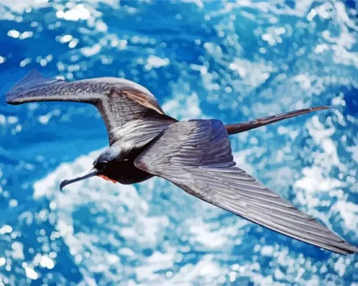 Bird Flying Over Ocean Diamond Painting